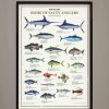 Accessories * | Just Another Fisherman Apparel Home Of The Salty Anglers Print Framed